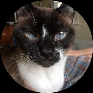 Meet your Posher, Erln